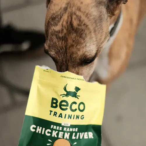 Beco Chicken Liver 1x60g