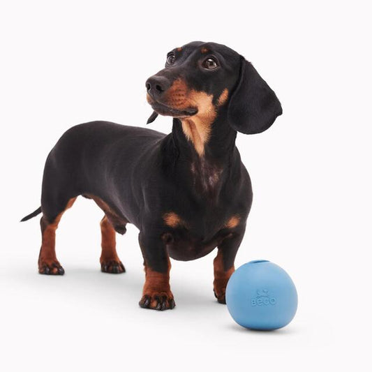 Beco Natural Rubber Treat Ball - Medium Blue