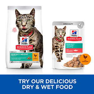 Hills Science Plan Cat Adult Dry Chicken Urinary 1.5kg