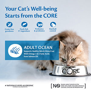 Wellness Core Ocean Salmon with Tuna 1.8kg