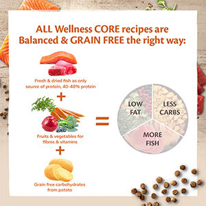 Wellness Core Ocean Salmon with Tuna 1.8kg