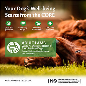 Wellness Core Lamb 10kg