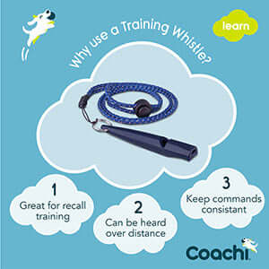 Coachi Training Whistle Navy