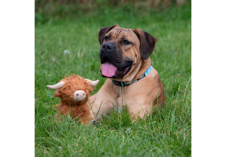 Ancol Heritage Fergus Highland Cow Dog Toy