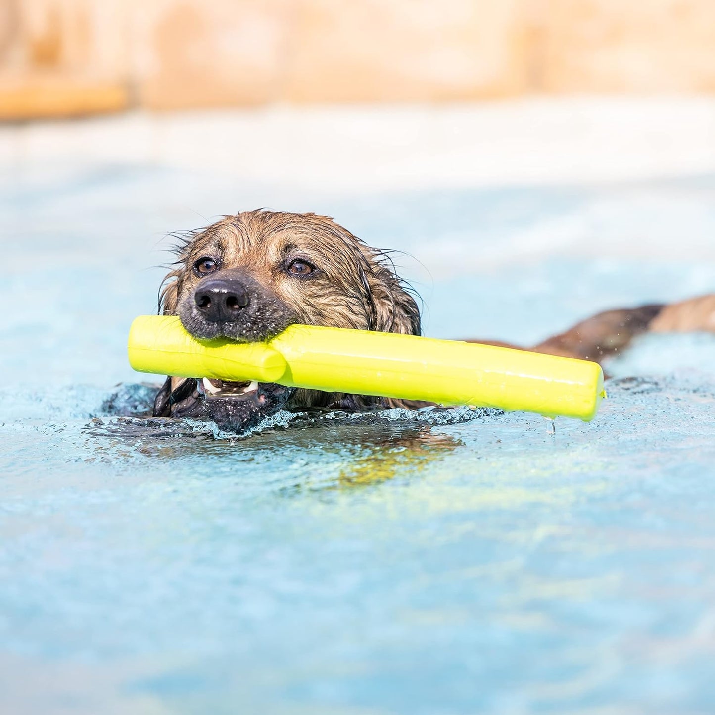Hyper Pet Happy Chew Eva Stick Dog Toy