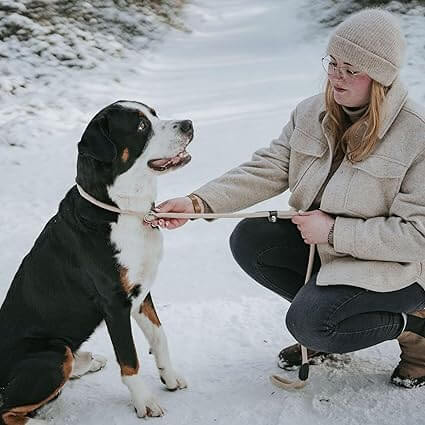 Hunter Leash Retriever Slip Lead Freestyle 10/170 Rope beige