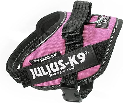 Julius k9 IDC?-Powerharness, Size: Mini, Pink