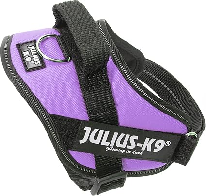 Julius k9 IDC?-Powerharness, Size: Mini, Purple