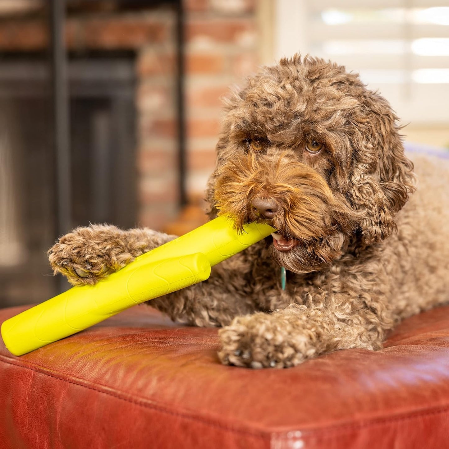 Hyper Pet Happy Chew Eva Stick Dog Toy