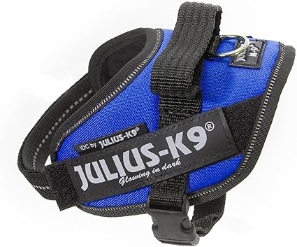 Julius k9 IDC?-Powerharness , Size: Mini, Blue