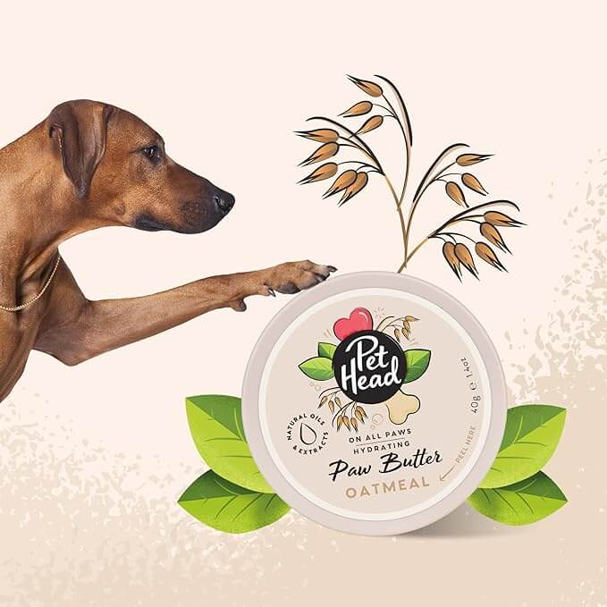 Pet Head On All Paws Paw Butter 40g/1.4 oz