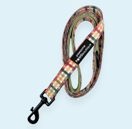 Pawsome Paws Boutique - Plaid Pup - 5FT Lead