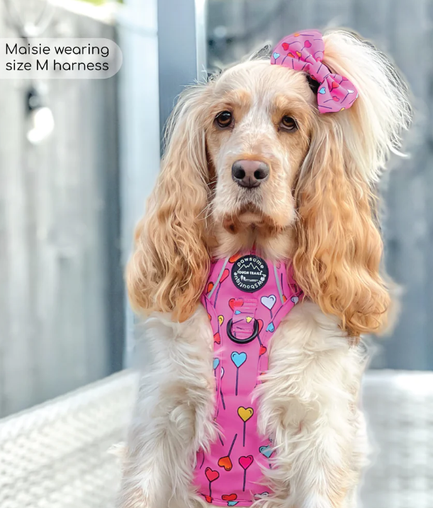 Pawsome Paws Tough Trails Harness - Candypop - Medium