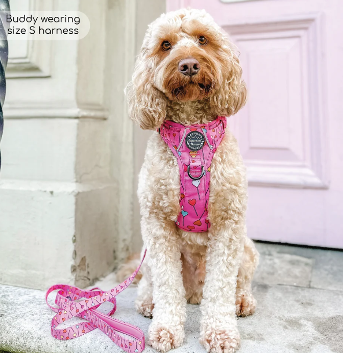 Pawsome Paws Tough Trails Harness - Candypop - Small