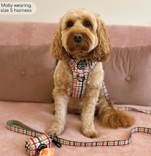 Pawsome Paws Boutique - Plaid Pup - Poo Bag Holder