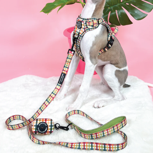 Pawsome Paws Boutique - Plaid Pup - Poo Bag Holder
