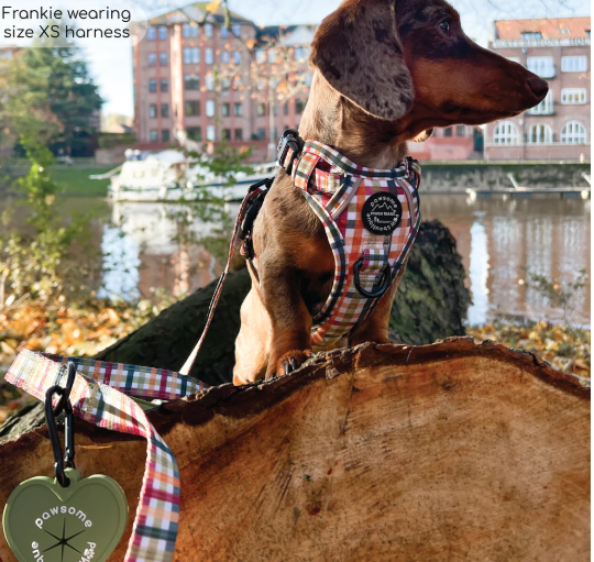 Pawsome Paws Boutique - Plaid Pup - Poo Bag Holder