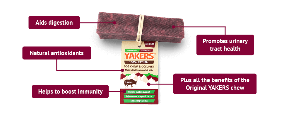 Yakers XL Dog Chew Cranberry