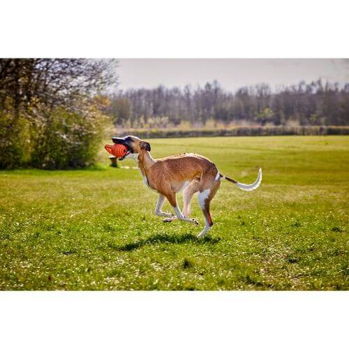Doggi Catch & Carry Ball Medium
