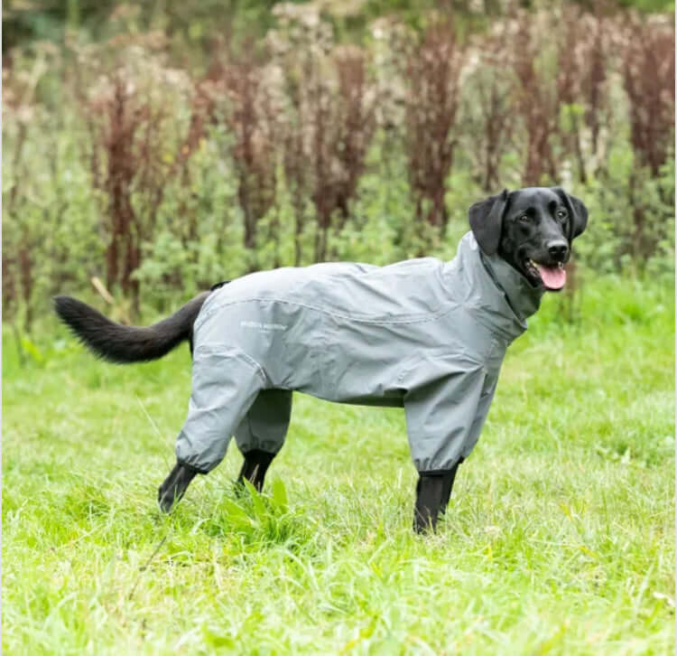 Hugo & Hudson Protective Dog Overalls S35