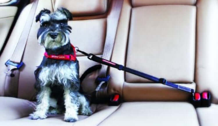EZYDOG ADJUSTABLE CAR SEAT ATTATCHMENT - BLACK