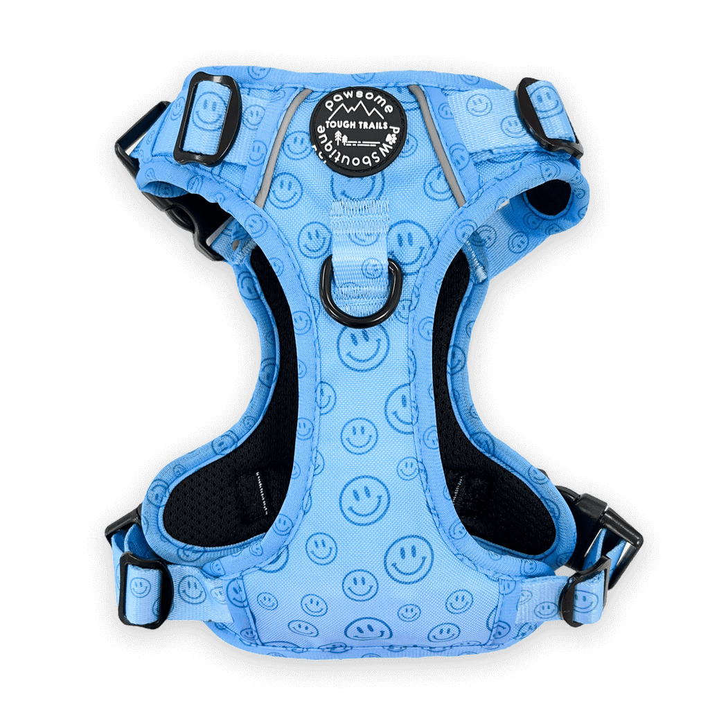 Pawsome Paws Boutique No Blue Mood Tough Trails Harness M