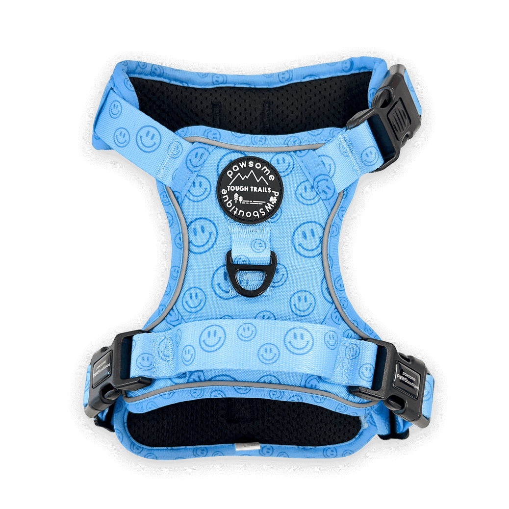Pawsome Paws Boutique No Blue Mood Tough Trails Harness M