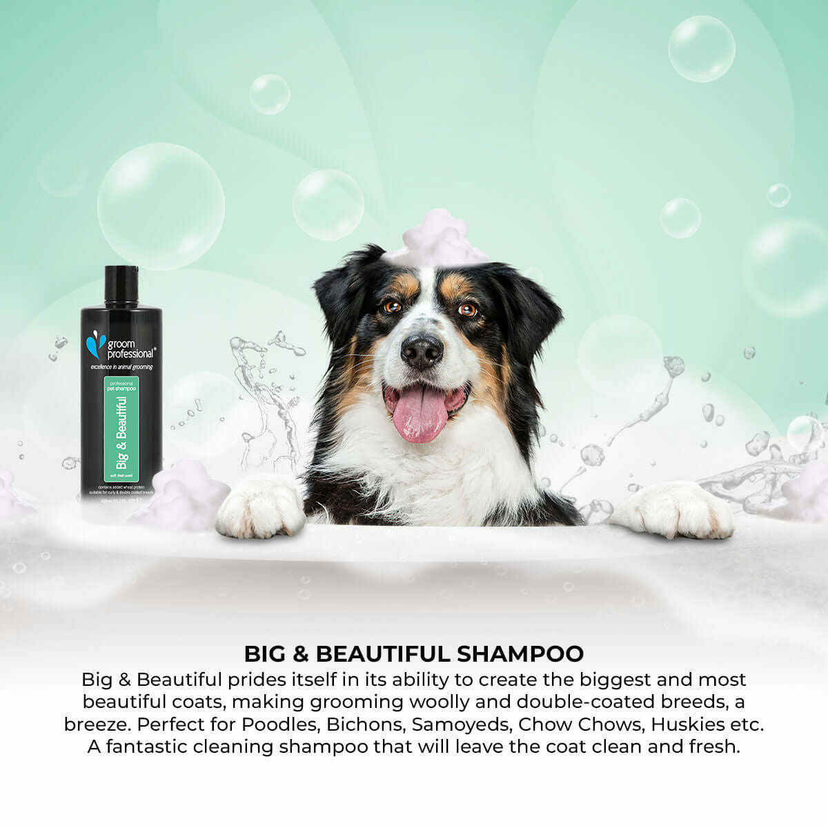 Groom Professional Big & Beautiful Shampoo 450ml