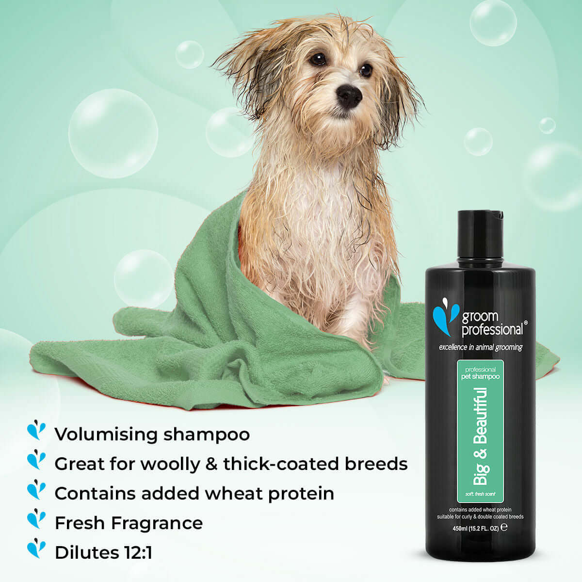 Groom Professional Big & Beautiful Shampoo 450ml