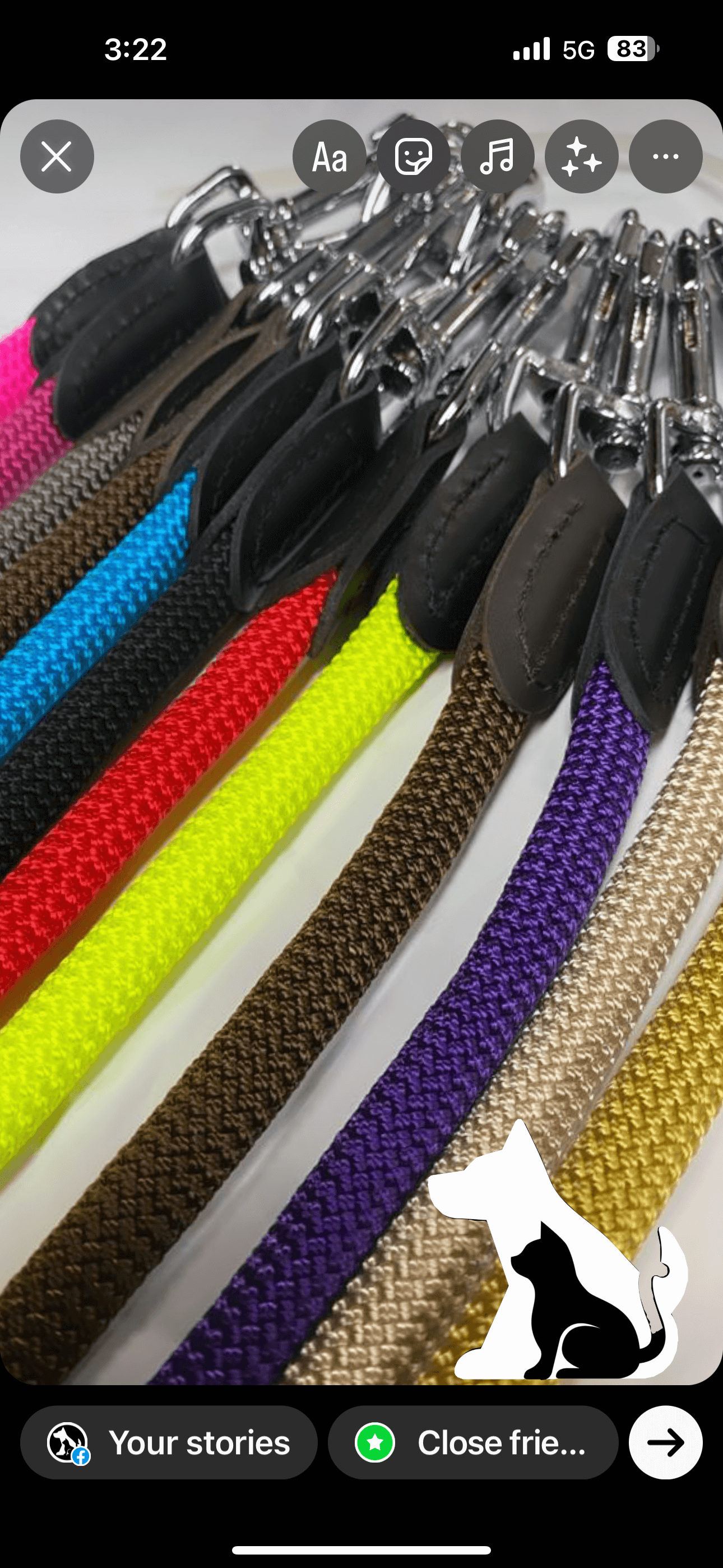Hunter Leash Freestyle 10/110 Rope Petrol