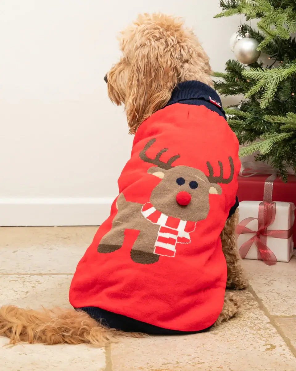 Hugo & Hudson Red Reindeer Chrismas Dog Jumper S