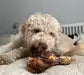 JR Pet Ostrich Knuckle Bone