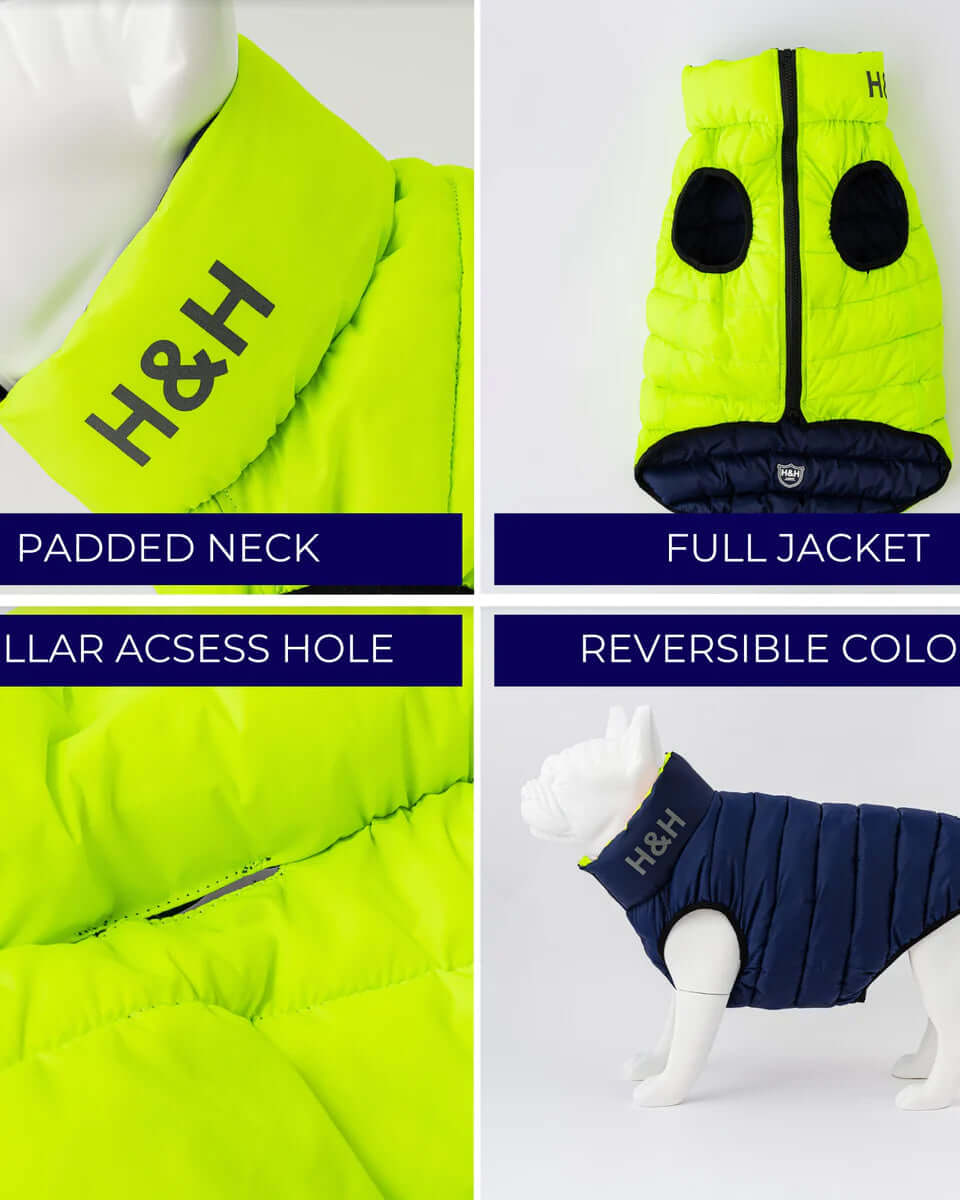 Hugo & Hudson Lime Green / Navy Puffer Jacket S35