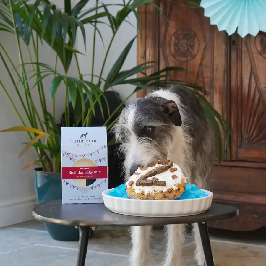 The Innocent Hound Birthday Cake Mix 255g