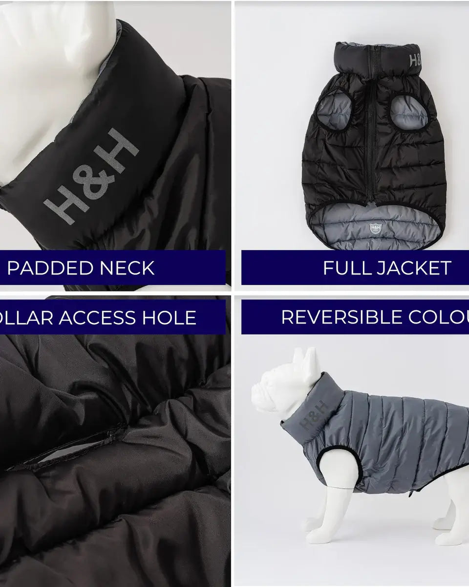 Hugo & Hudson Black / Grey Puffer Jacket M47