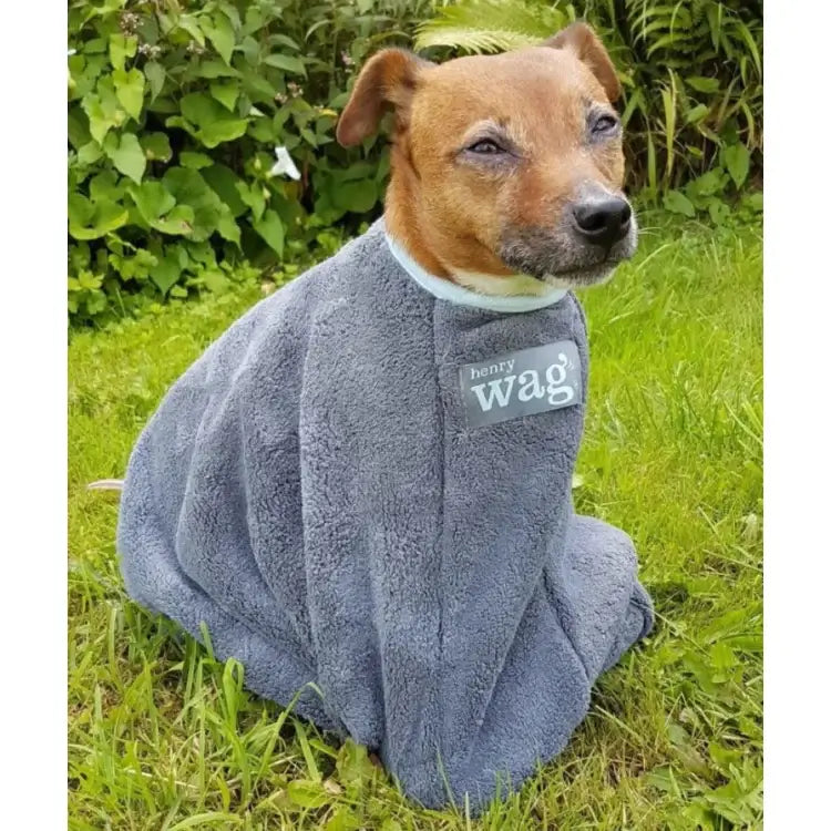 Henry Wag Drying Bag L