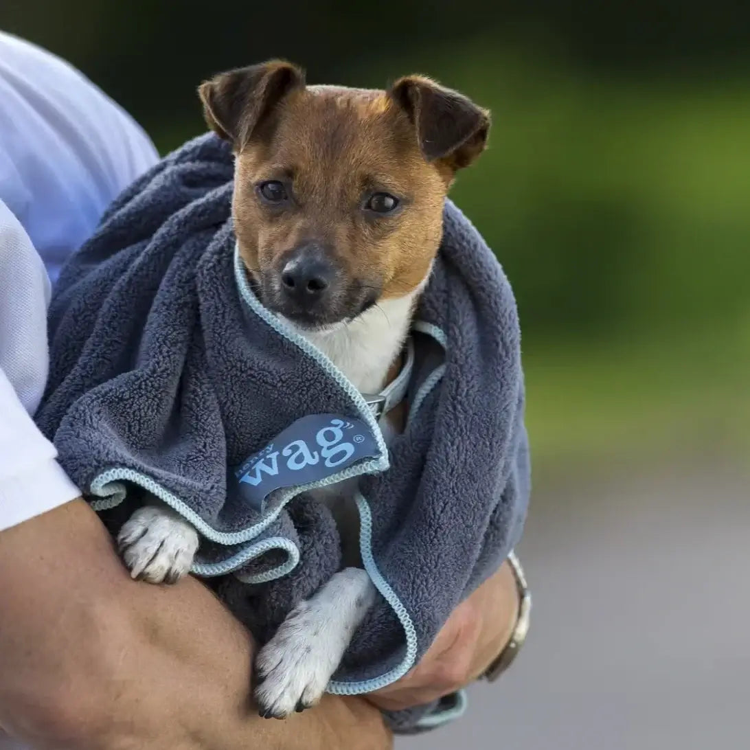 Henry Wag Microfibre Towel Large 150 X 100cm