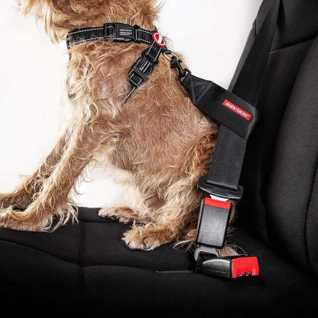 Ezydog Car Restraint
