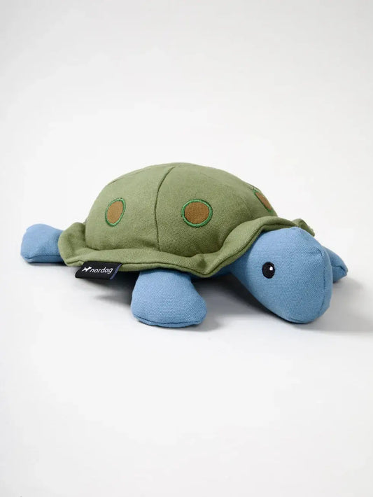 Nordog Kim the Turtle