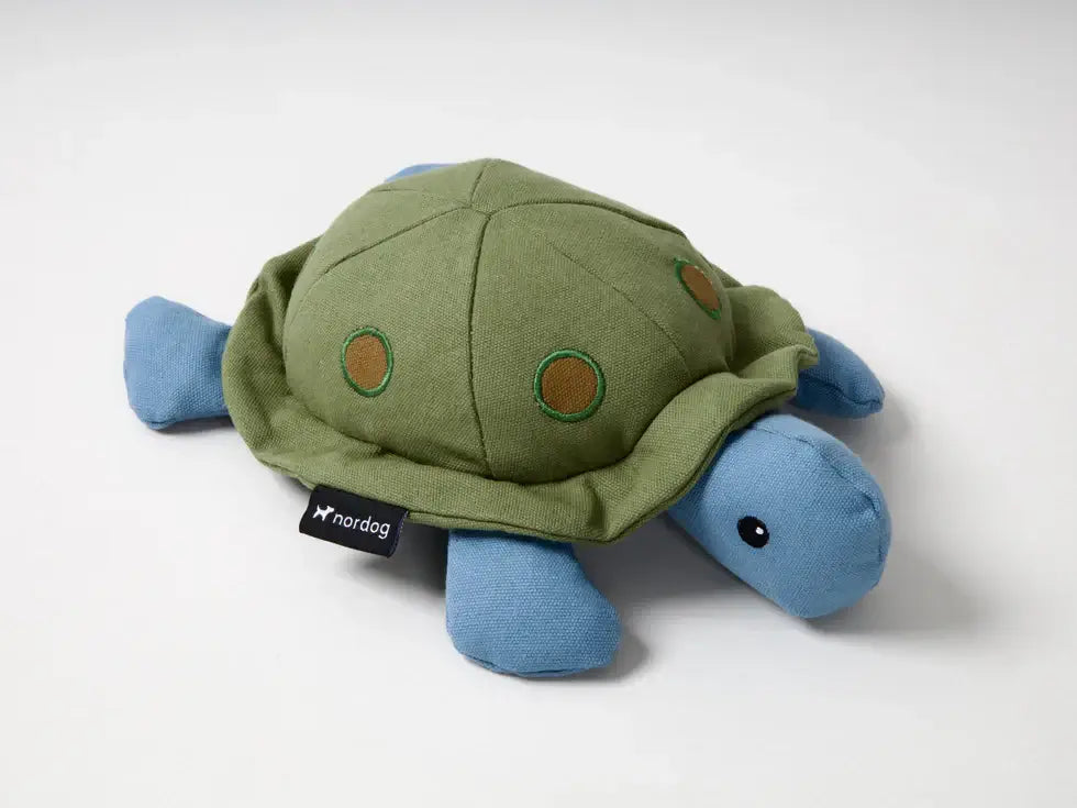 Nordog Kim the Turtle