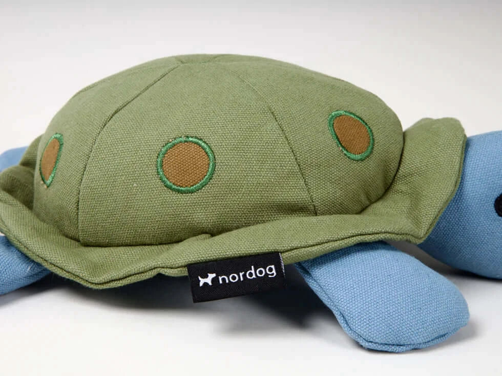Nordog Kim the Turtle