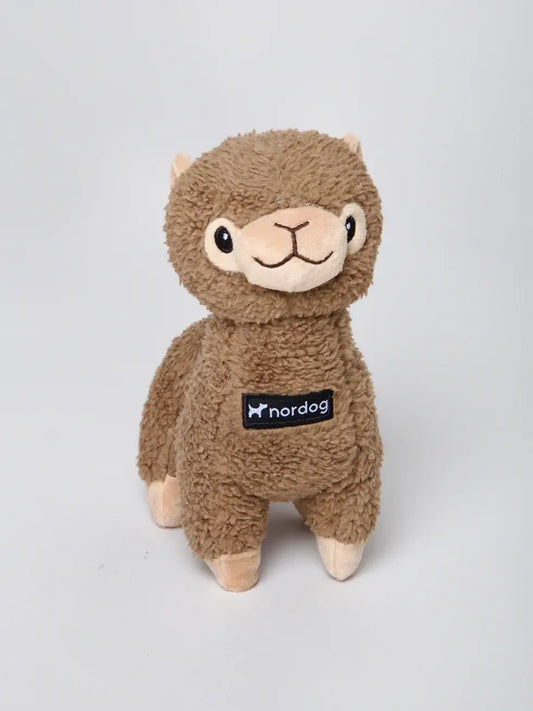 Nordog Benji Mini Alpaca