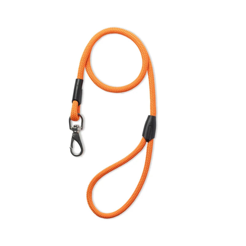 All Paw One Lead Orange 8x1250mm