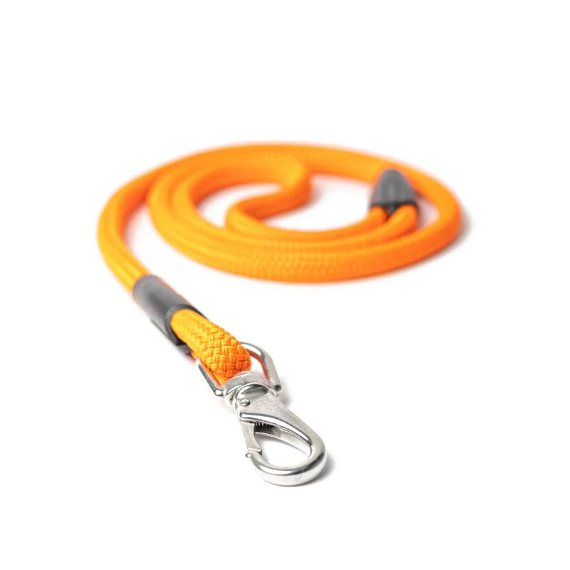 All Paw One Lead Orange  10x1250mm