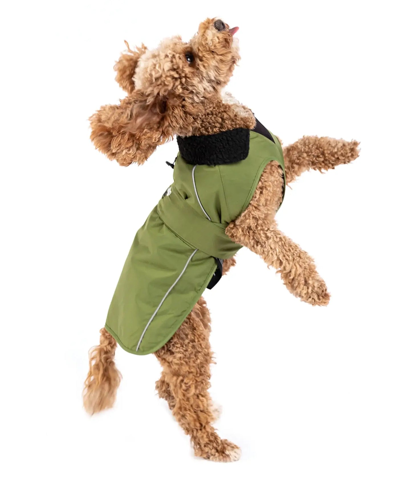 DryRobe Dog Dark Green Black Large