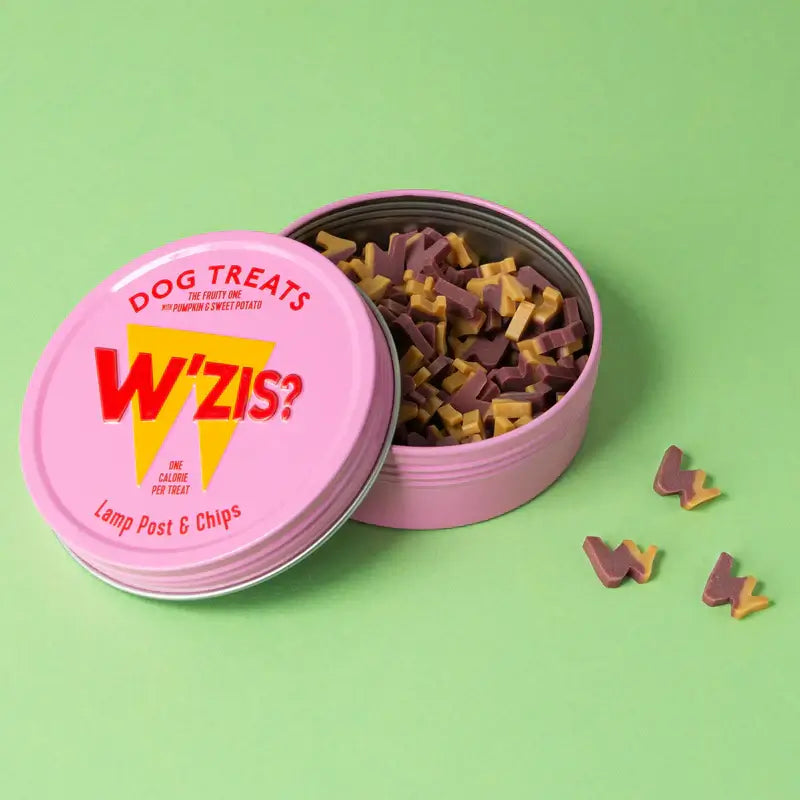 W'Zis Lamp Post & Chips Treat Tin