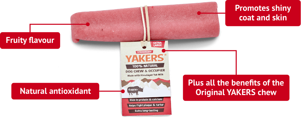 Yakers Dog Chew Strawberry Medium