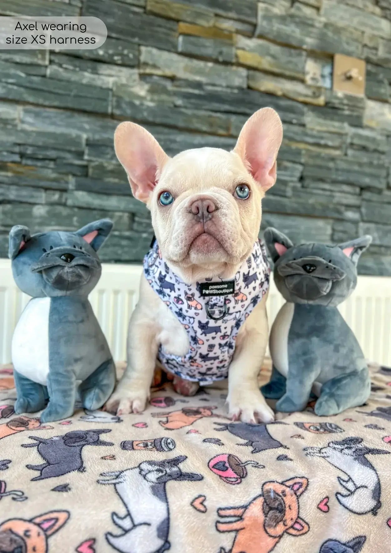 Pawsome Paws Boutique Harness Frenchie Frappuccino Medium