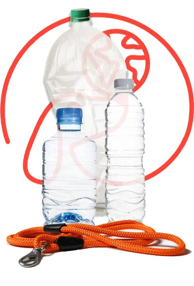 All Paw One Lead Orange  10x1250mm