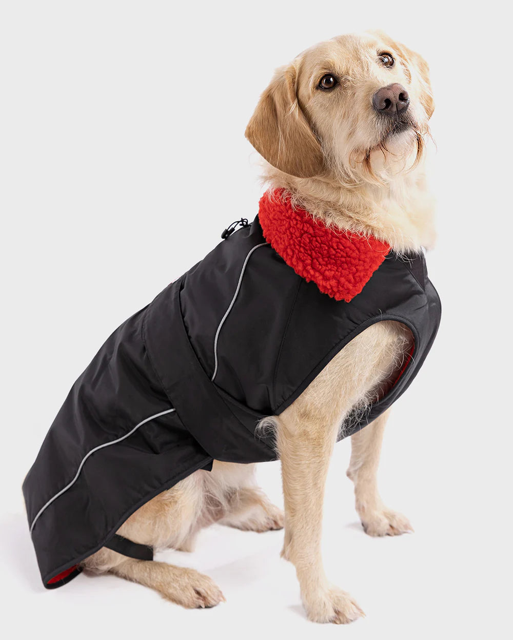 DryRobe Dog Black Red (L)